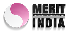 MERIT INDIA